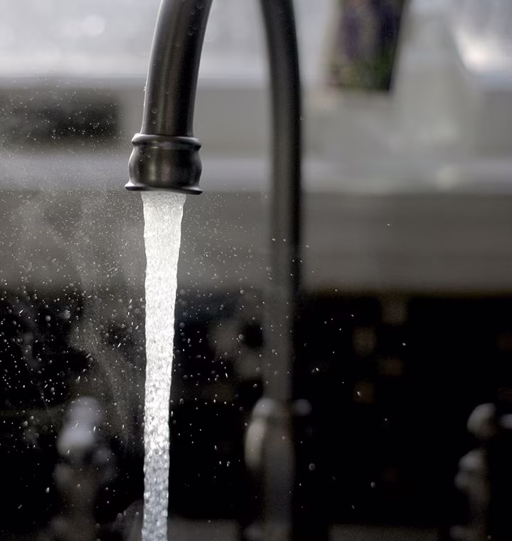 about taylor forsyth